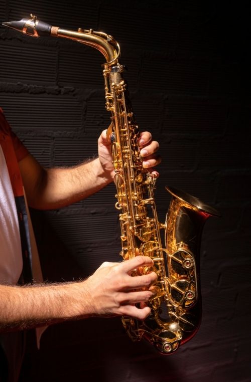 musicos profesionales para eventos